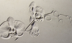 Orchids on Gravestone