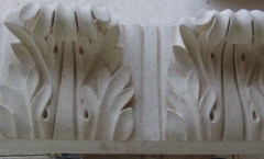 Large acanthus leaves