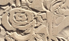 Roses carving - in the sun