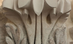Acanthus leaf tip Acanthus leaf tip